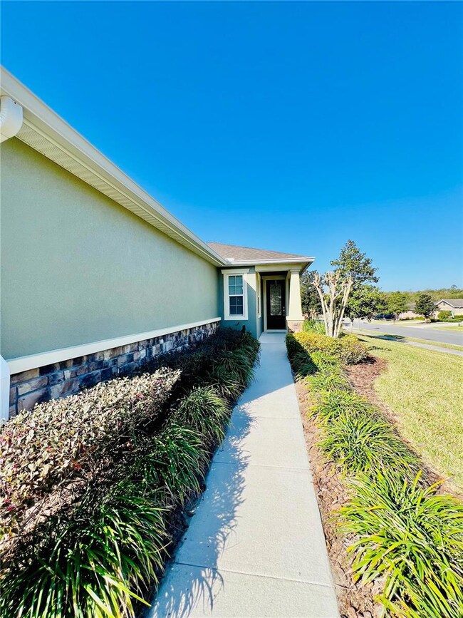 30427 Lipizzan Terrace, Mount Dora, FL 32757 - photo 5