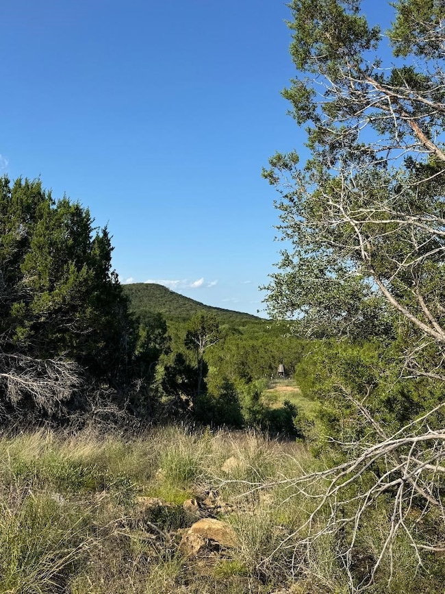 1473 Highway 16 S, Strawn, TX 76475 - photo 4