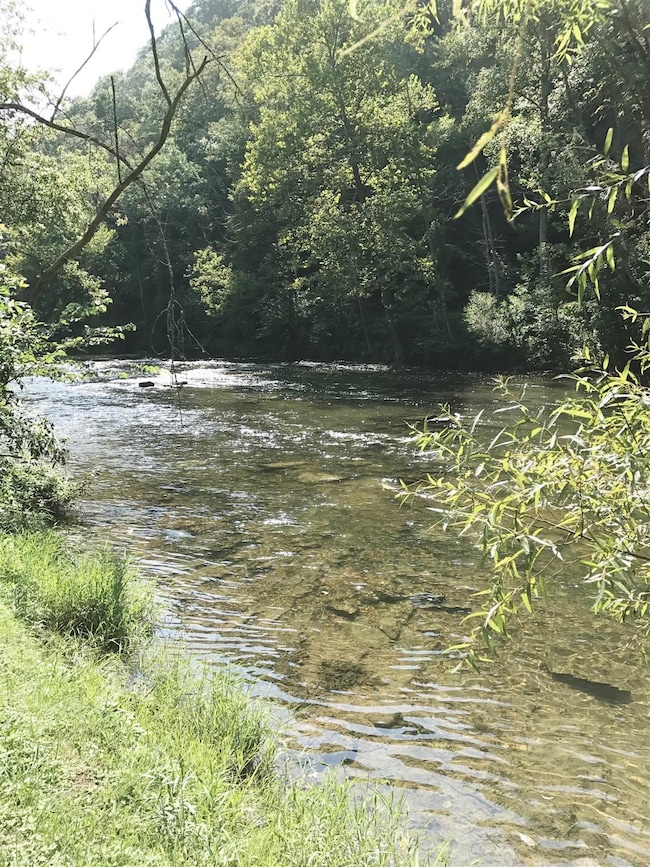Creek Frontage