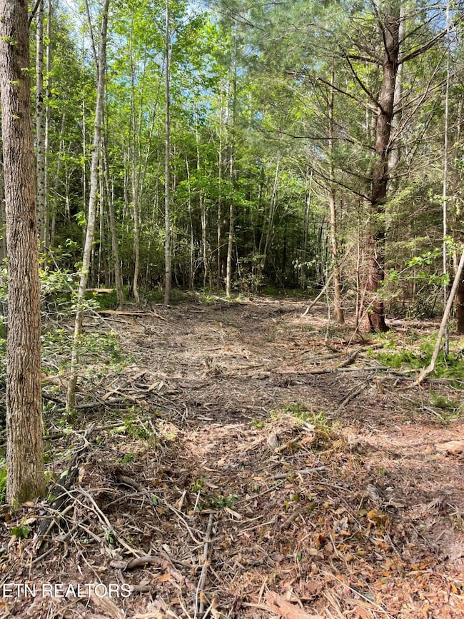 0 Scott Hwy, Winfield, TN 37892 - photo 5