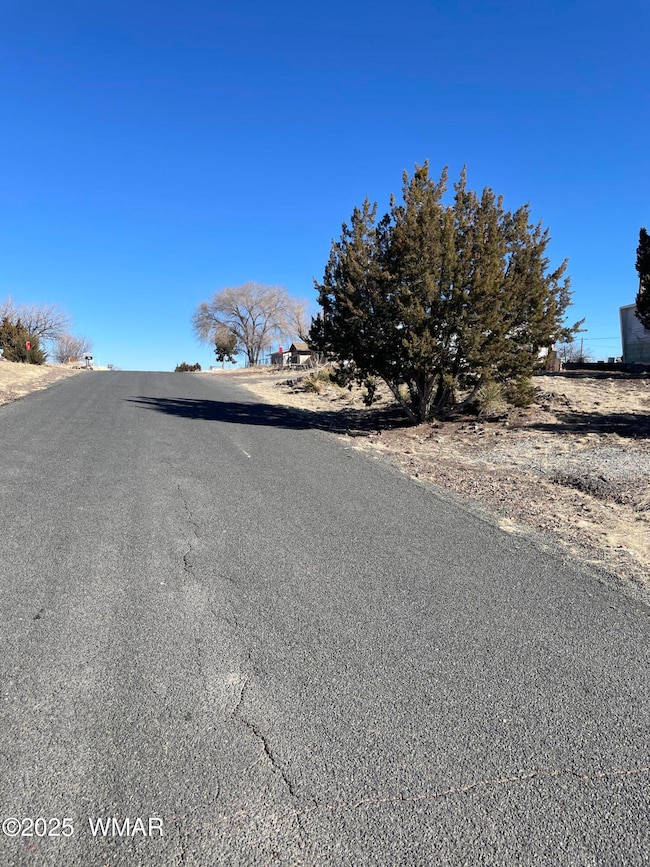 74 Dawn Ln, Concho, AZ 85924 - photo 4