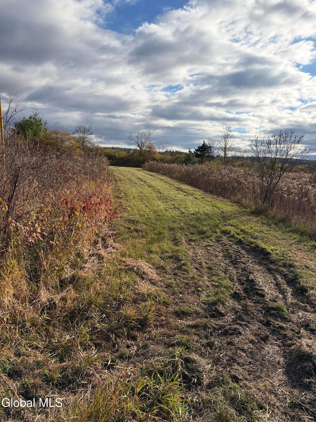 39 Valley View Way, Whitehall, NY 12887 - photo 5