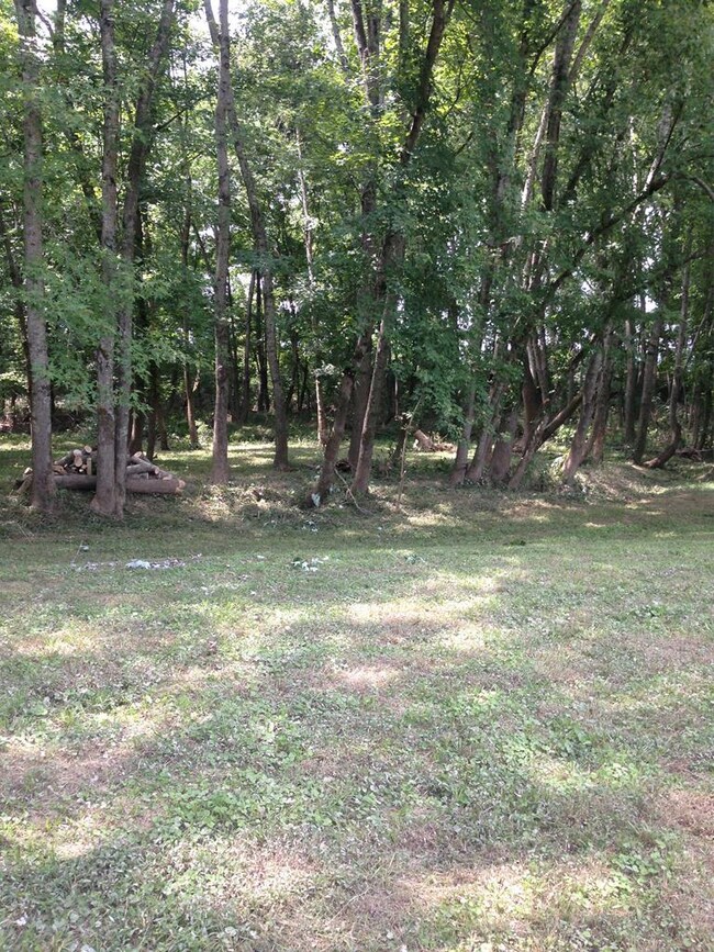 0 Tennessee 13, Linden, TN 37096 - photo 6