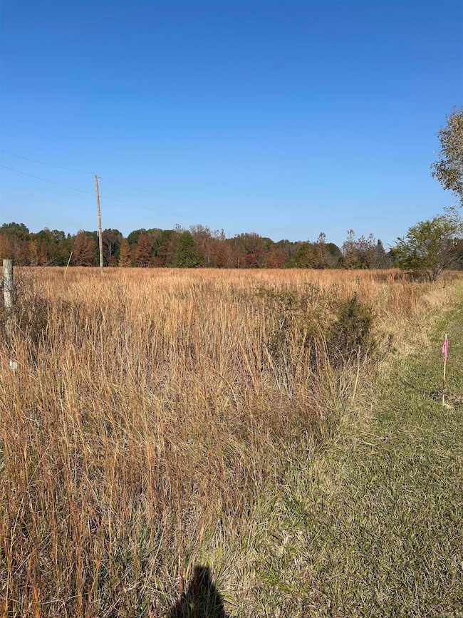 000 Hwy 64 West Tract 2 Hwy, Beebe, AR 72012 - photo 3