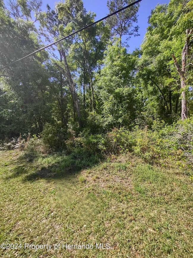Lot Frontage