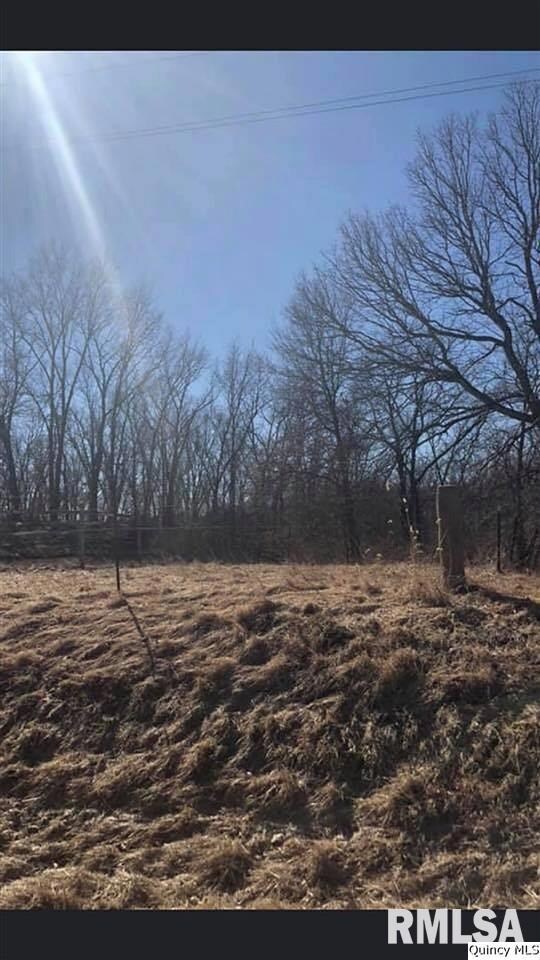 0 Pt Nw (Part of Lot 1) Sec 6 unit CA199119_1, Mt. Sterling, IL 62353 - photo 6