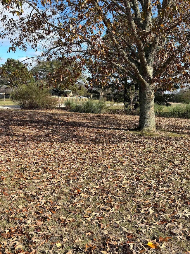 1617 Highway 26 E, Delight, AR 71940 - photo 3