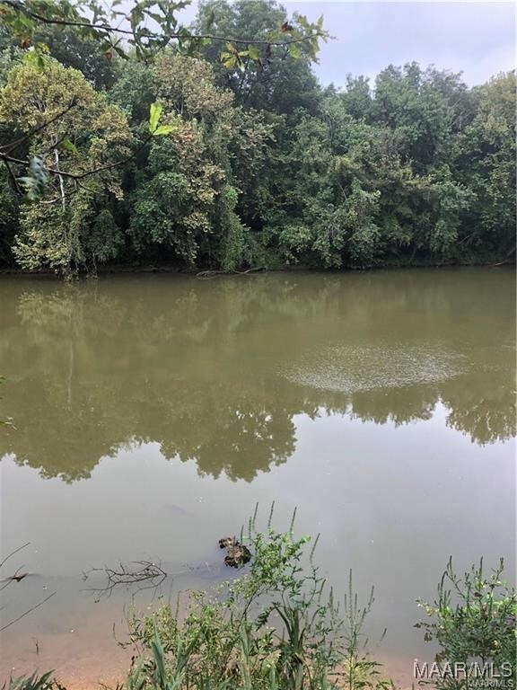 115 Cahaba View Dr, Selma, AL 36702 - photo 6