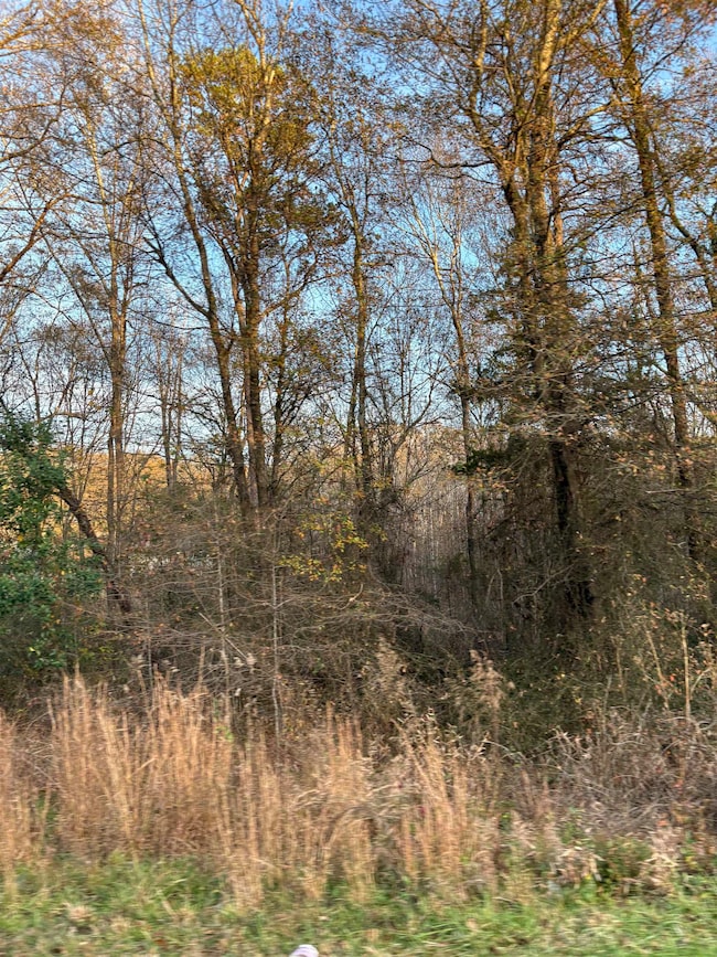 0 Old Furnace Rd, Boiling Springs, SC 29316 - photo 7