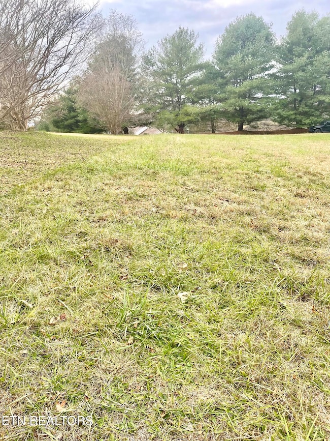 160 Brabson Ct, Kingston, TN 37763 - photo 7