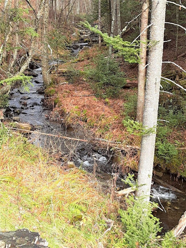 Lot 1 Gulch Brook Dr, Stewartstown, NH 03576 - photo 7