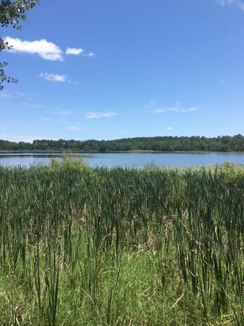 Lots 6/7 E Drive Paradise Cir, Donalsonville, GA 39845 - photo 5