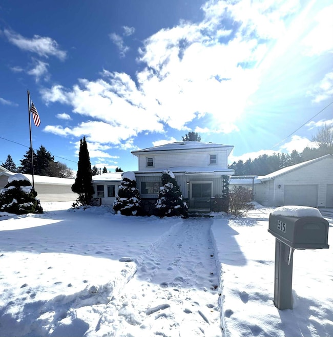 515 W Bridge St, Big Rapids, MI 49307 - photo 4