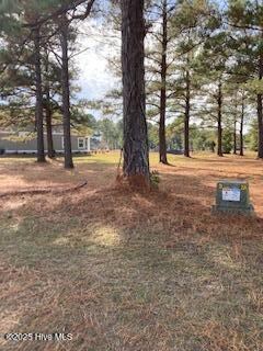 1012 Crosby Cir SW, Sunset Beach, NC 28468 - photo 4