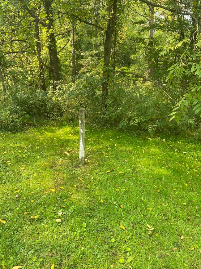 TBD N Mcpherson St, Stanton, MI 48888 - photo 2