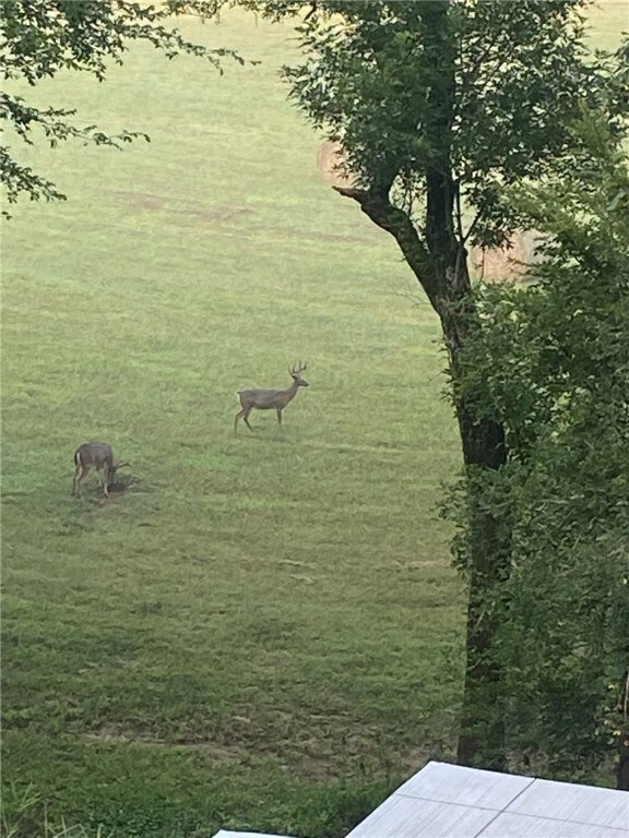 10862 S Harris Rd, Fayetteville, AR 72701 - photo 4