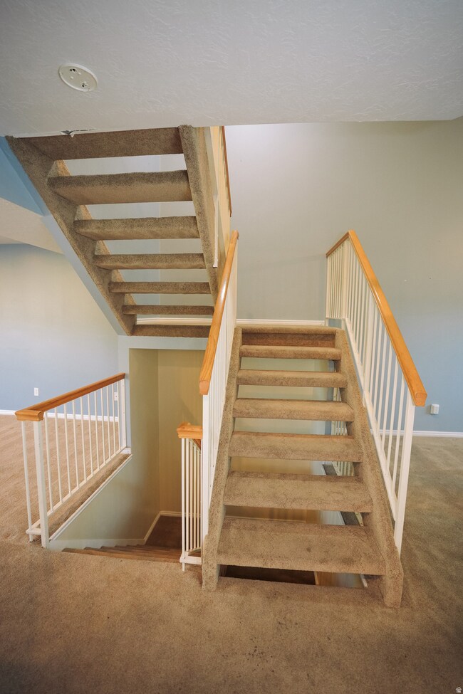 Staircase with carpet flooring and baseboards