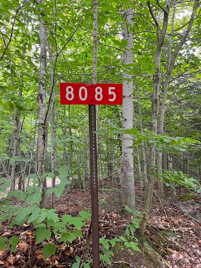 8085 Fisher TRL, Newberry, MI 49868