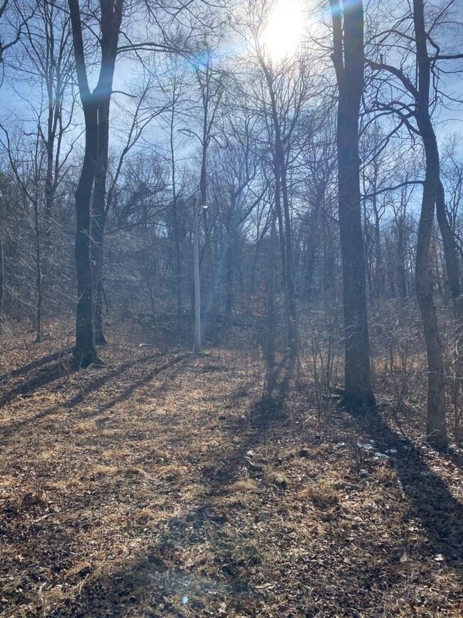 20240 Big Spring Rd, Winslow, AR 72959 - photo 7