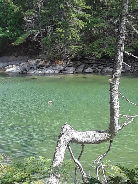 0 Rock Cove Ln unit 1324608, Harpswell, ME 04079 - photo 2