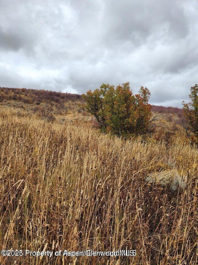 954 Sprout Dr, Craig, CO 81625 - photo 3