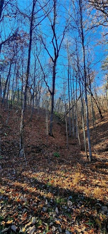 561 Parable Ct, Ranger, GA 30734 - photo 4