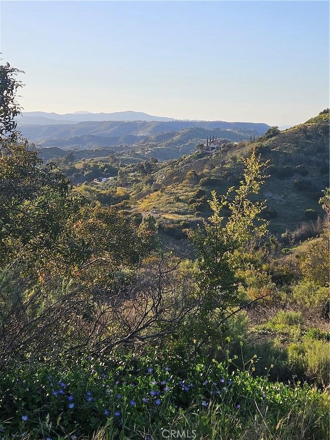 27375 Sycamore Mesa Rd, Temecula, CA 92590 - photo 4