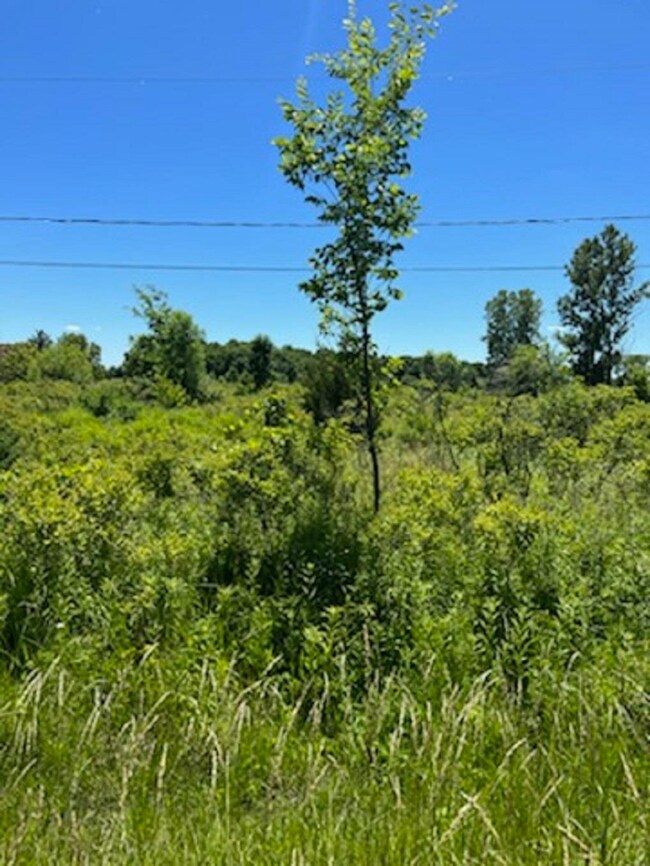 0 E Wilson Rd unit 50086153, Thetford Township, MI 48420 - photo 4