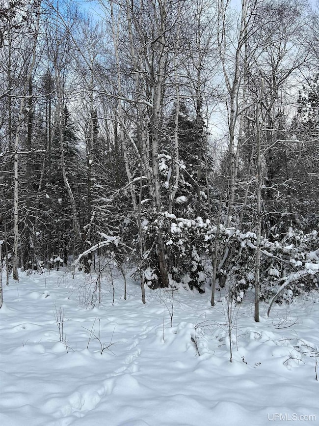 TBD Lot 1 Whitetail Dr, Torch Lake Township, MI 49945 - photo 4
