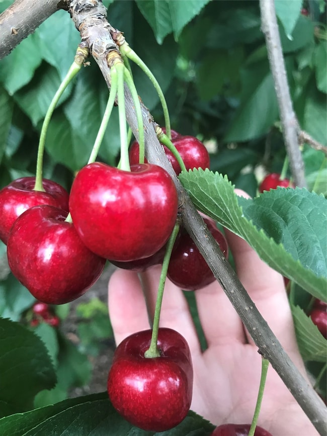 32624 S Finley Point Rd, Polson, MT 59860 - photo 3