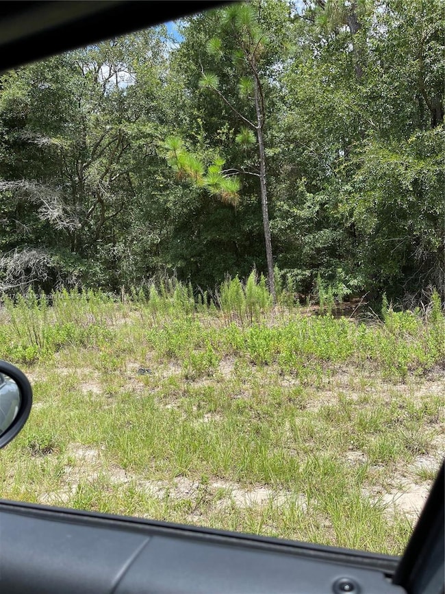 tbd SW 59th Ln, Dunnellon, FL 34431 - photo 7