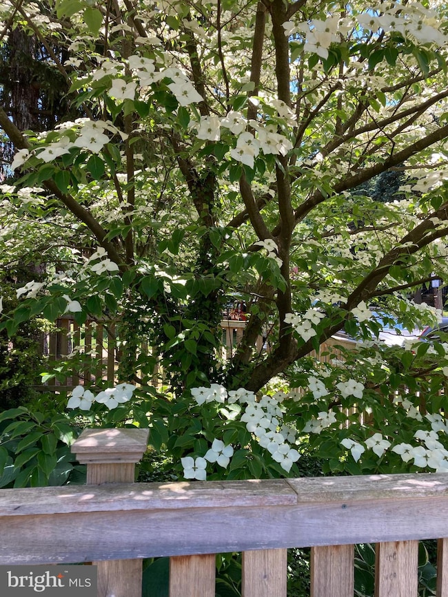 6733 N 8th St, Philadelphia, PA 19126 - photo 6