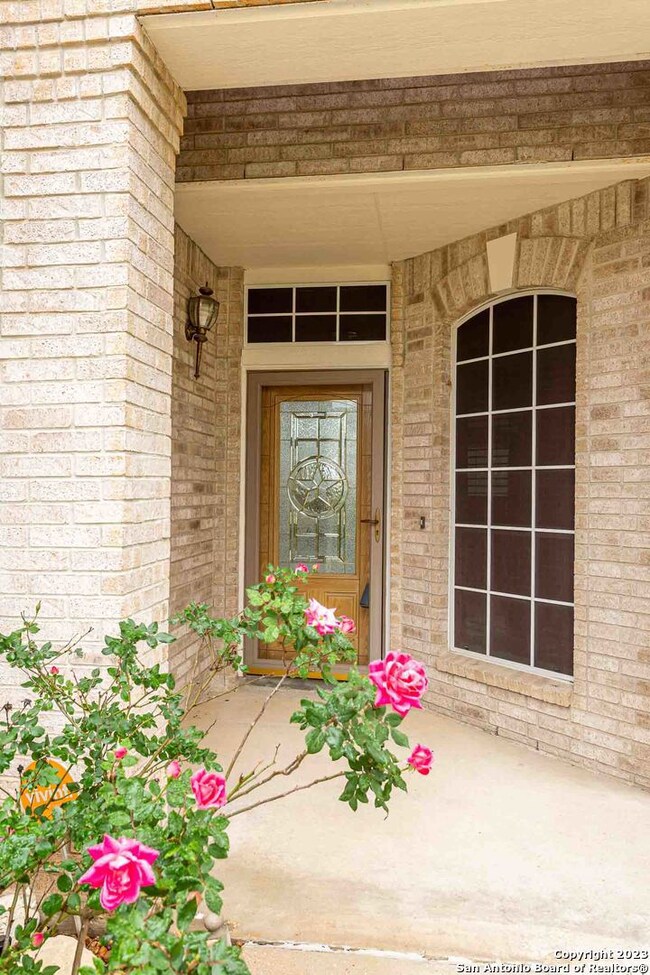 10710 Spirit Horse, Helotes, TX 78023 - photo 3