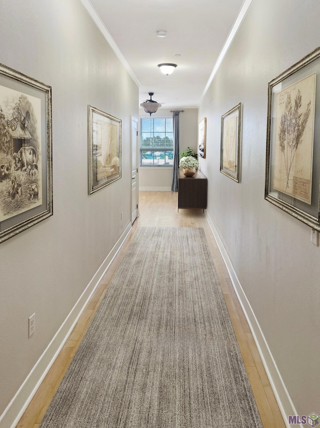 7707 Bluebonnet Blvd unit 310, Baton Rouge, LA 70810 - photo 3