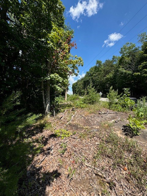 0 Monterey Hwy unit RTC2824096, Monterey, TN 38574 - photo 6