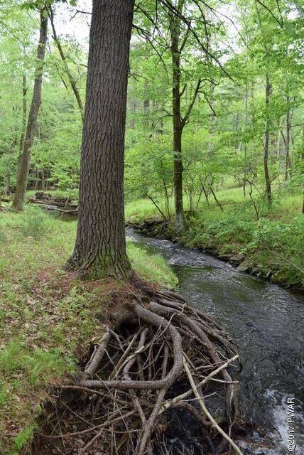 1390 Route 590, Hawley, PA 18428 - photo 2