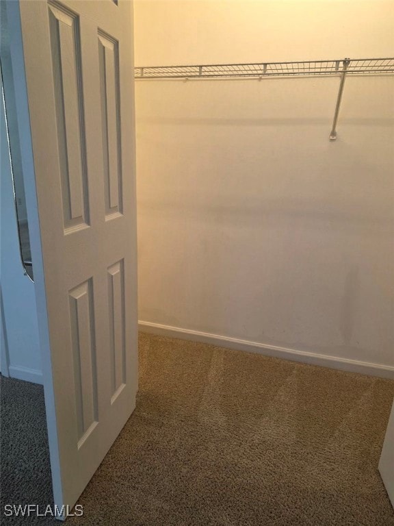 Walk in closet with carpet
