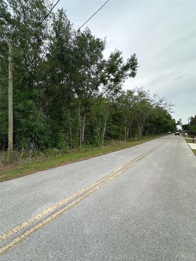 0 SE 86th Ct, Belleview, FL 34420 - photo 4