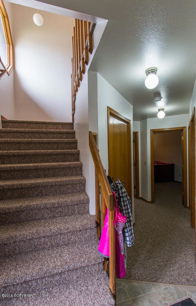 4032 Hale CT-1764 - Copy