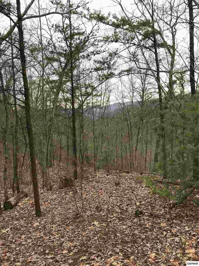 0 Lot 5-E Stackstone Rd, Sevierville, TN 37862 - photo 5