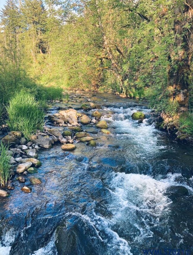 20241 NE Abiqua Rd, Silverton, OR 97381 - photo 2