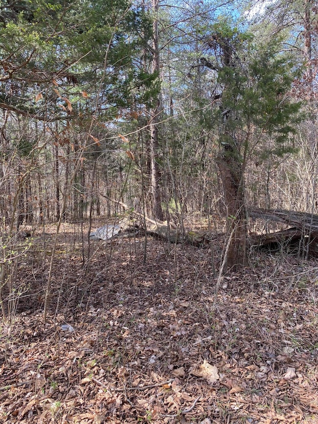 Lot 19 N Fork Rd, Burnside, KY 42519 - photo 2