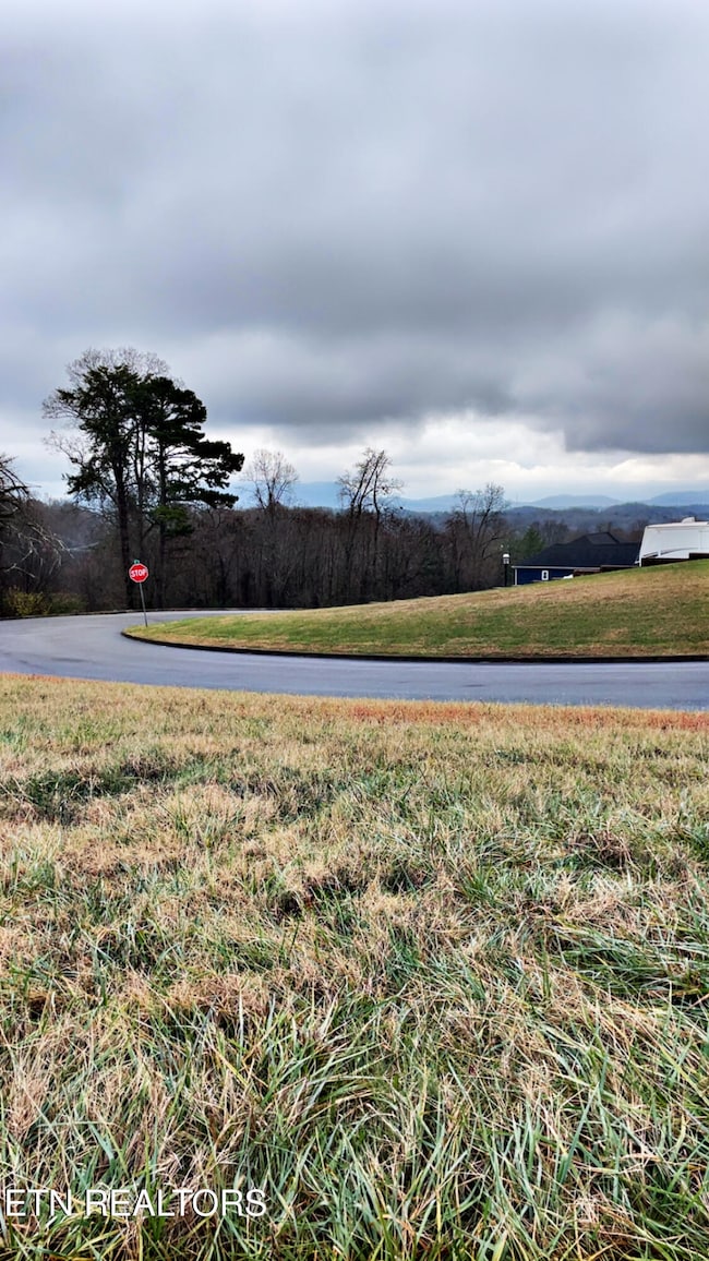 0 Campbells Point Rd, Corryton, TN 37721 - photo 7