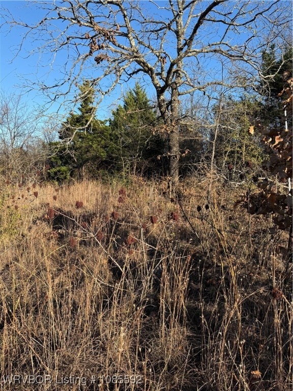 TBD E 1115, Sallisaw, OK 74955 - photo 5