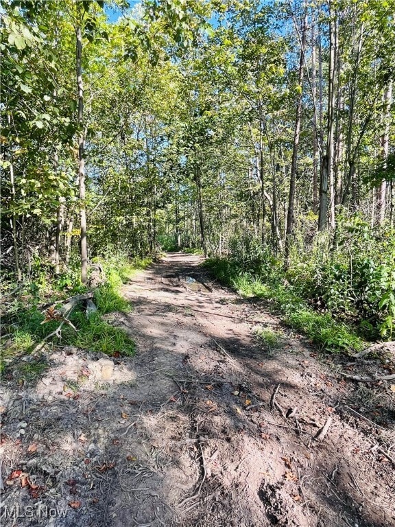 View of road with a forest view