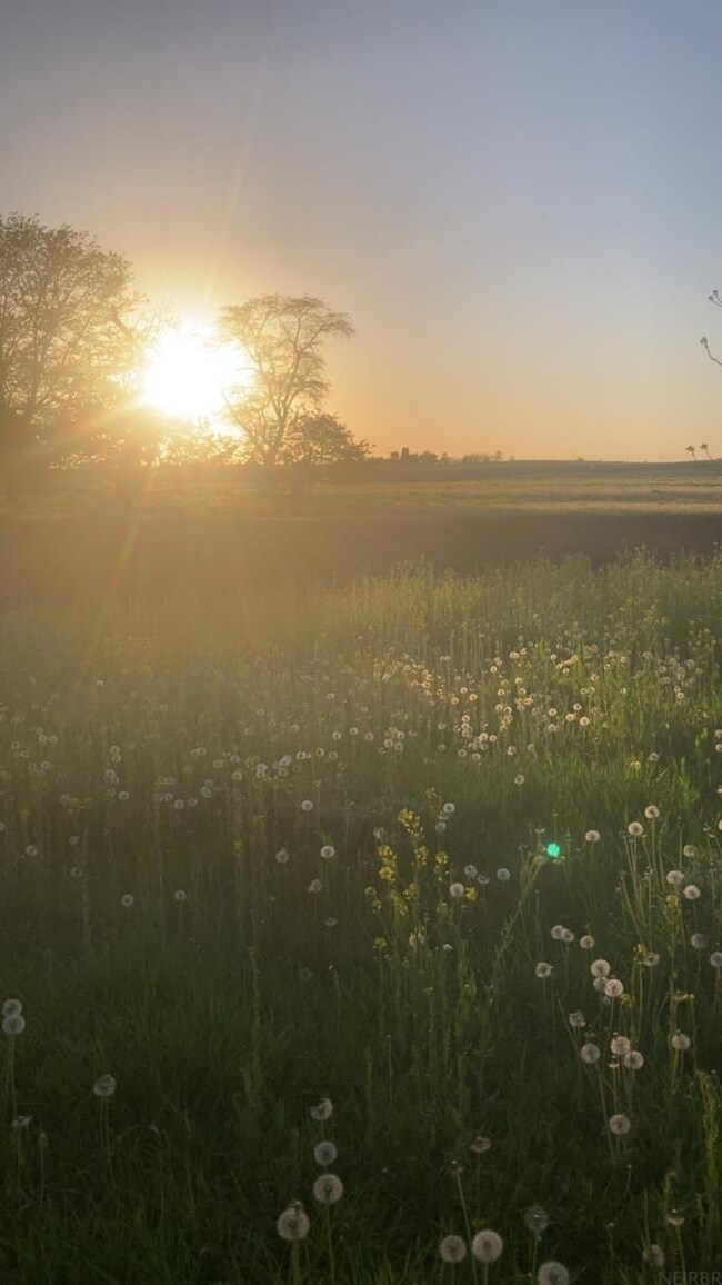 2673 160th St, Traer, IA 50675 - photo 5