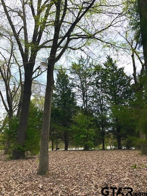 16239 County Road 285, Tyler, TX 75707 - photo 3