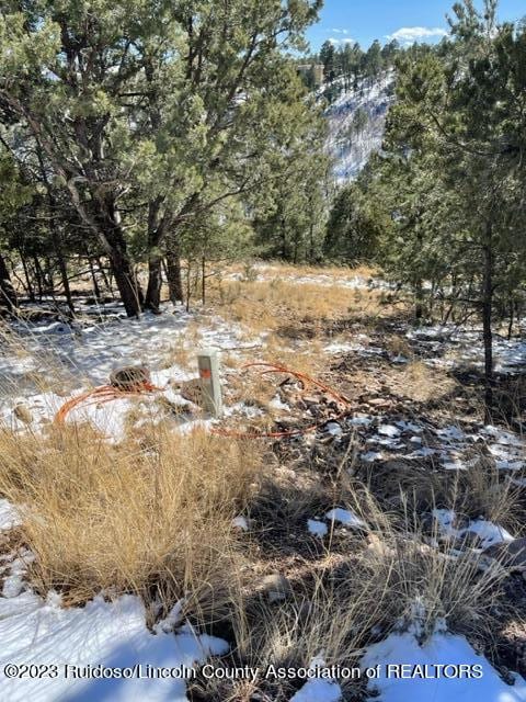 L1 High Ridge Trail, Alto, NM 88312 - photo 5