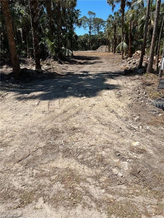 unlisted-address, Rural Estates, FL 34120 - photo 3