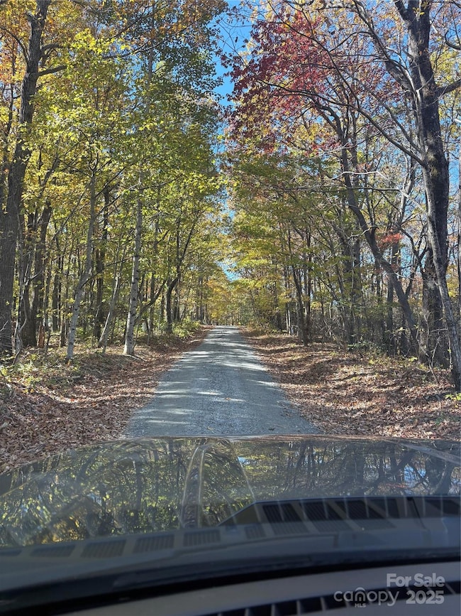 Lot 6 Miller Mountain Rd unit 6, Saluda, NC 28773 - photo 3